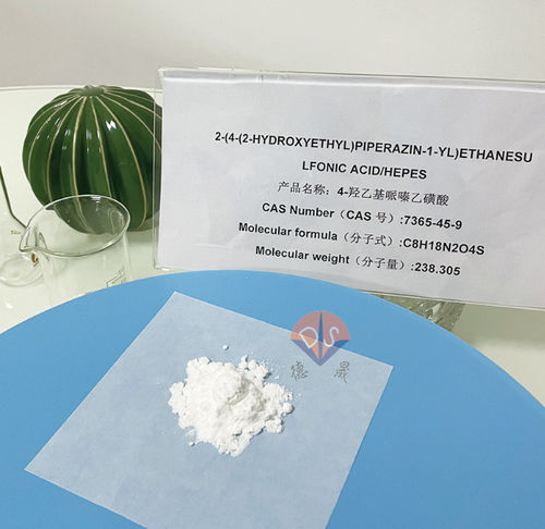 Latest company news about HEPES aqueous solution: Be careful of light exposure and store with caution