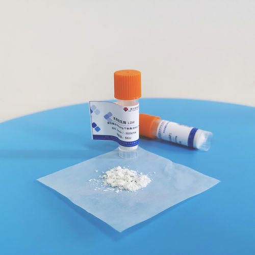 Latest company news about How to correctly select crude enzyme solution, pure enzyme solution, and freeze-dried powder according to needs?