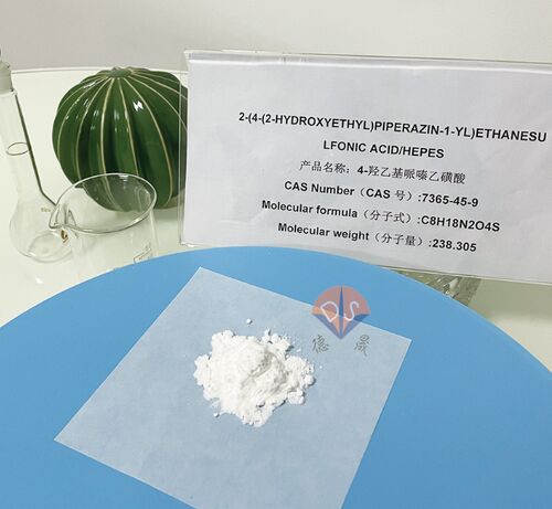 Latest company news about HEPES buffer: the 'invisible assistant' in rabies virus detection