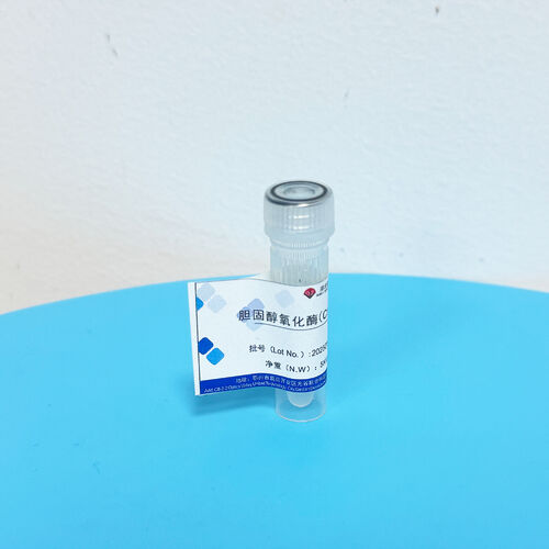 Latest company news about Enzyme preparation preservation secret: Scientific protection of catalytic activity